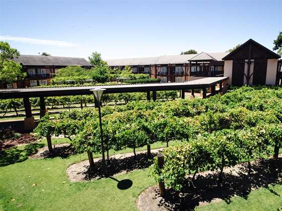 The Vines Resort