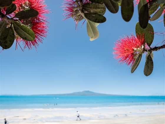 Takapuna Beach Holiday Park