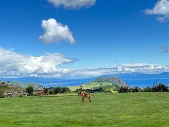 Hilltop Whakaipo Estate