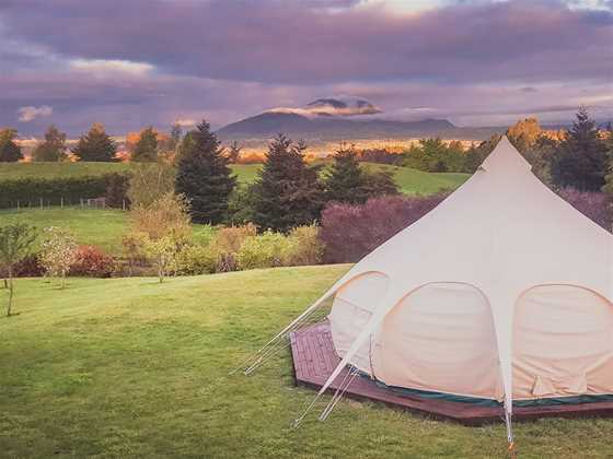 MountViews Glamping