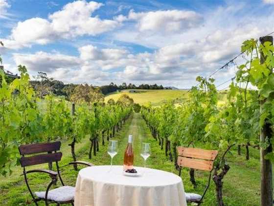 The Nest - Matakana Vineyard Retreat