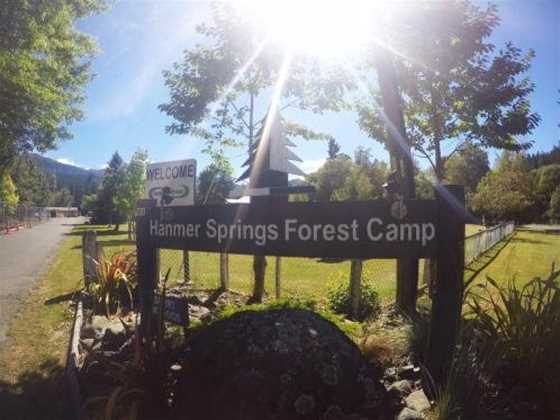 Hanmer Springs Forest Camp
