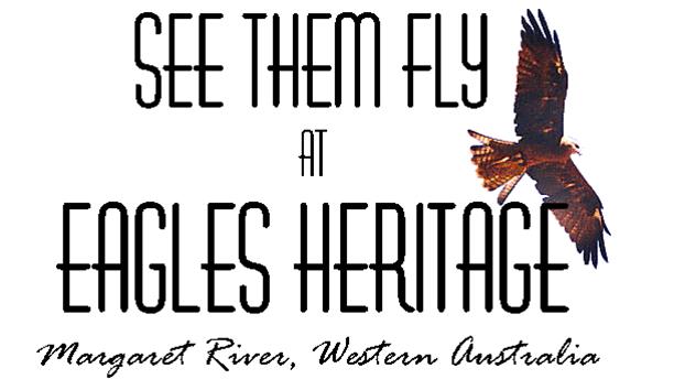 Eagles Heritage Raptor Wildlife Centre - Margaret River - Town ...