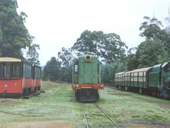 The Pemberton Tramway Co