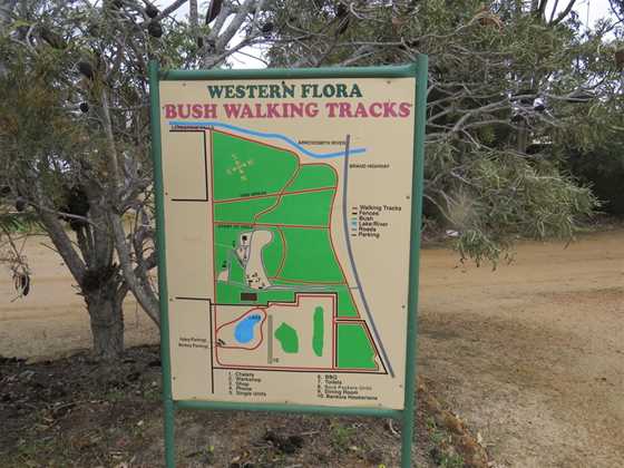 Western Flora Caravan Park - Wildflower Tours