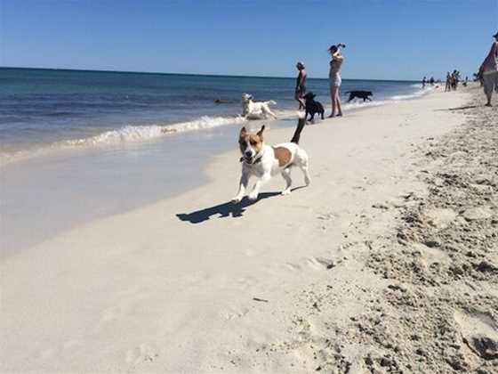 Whitfords Dog Beach