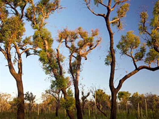 Trigg Bushland Reserve