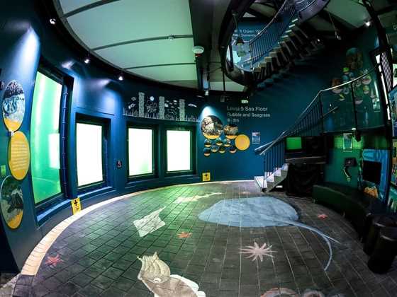 Underwater Observatory - Busselton Jetty