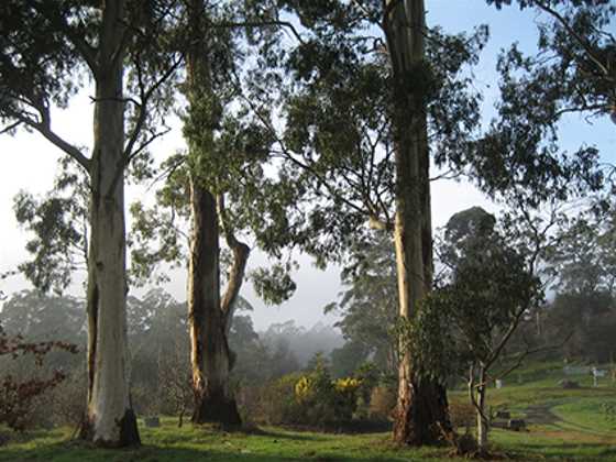 The Tasmanian Arboretum
