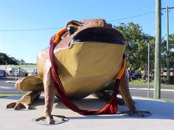 Sarina Big Cane Toad