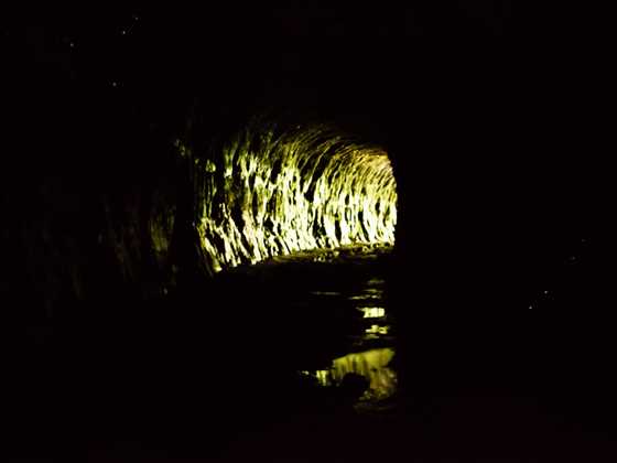 Glow Worm Tunnel