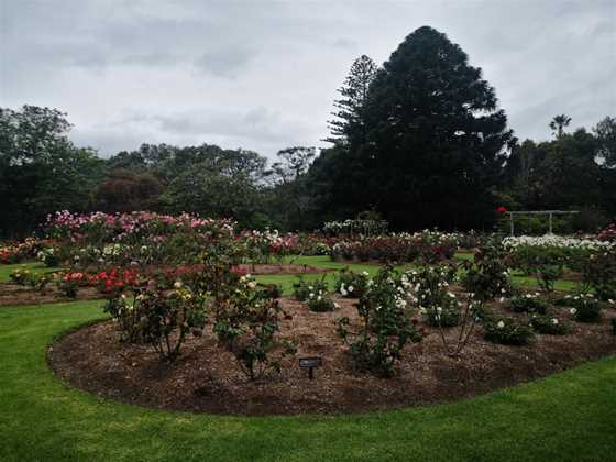 Dove Myer Robinson Park (Parnell Rose Garden)
