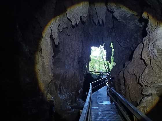 Waiomio Glowworm Caves
