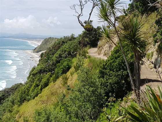 Mangawhai Cliff Walk