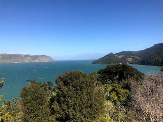 Huia Point Lookout