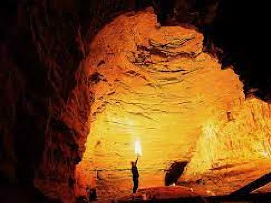 Footwhistle Glowworm Cave