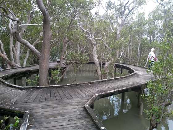 Rawene Mangrove Boardwalk