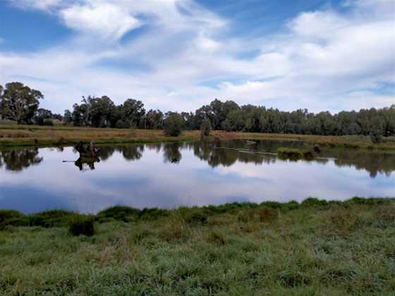 Marrambidya Wetland
