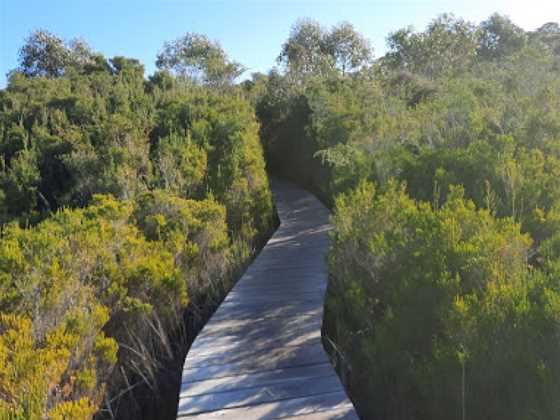 Winifred Curtis Reserve