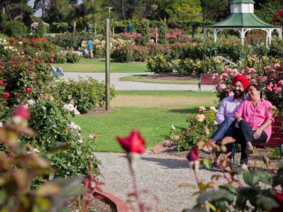 Victoria State Rose Garden at Werribee Park