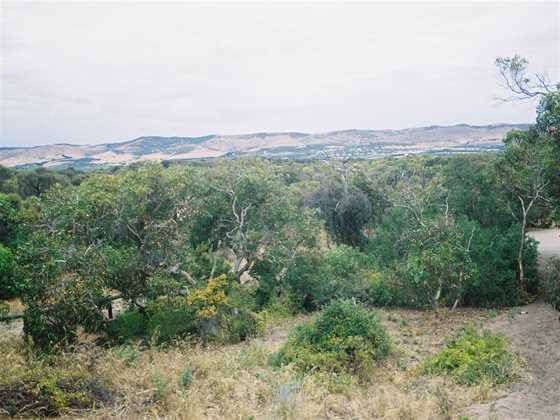Aldinga Scrub Conservation Park