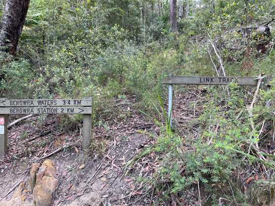 Great North walk - Berowra Valley National Park