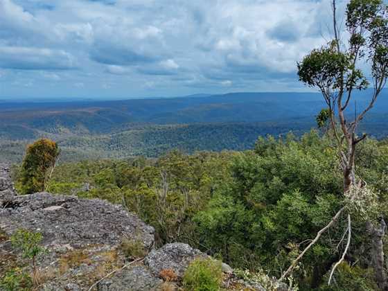 Jerrawangala National Park