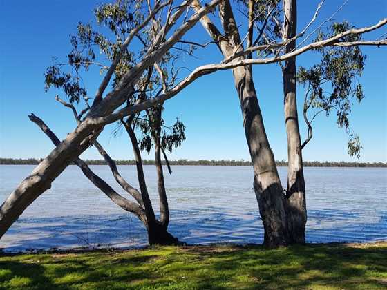 Lake Broadwater Conservation Park