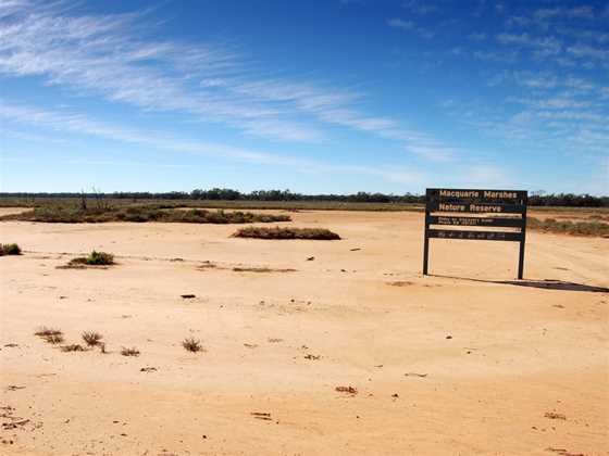 Macquarie Marshes Nature Reserve