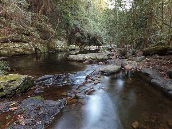 Telegherry River: Chichester State Forest