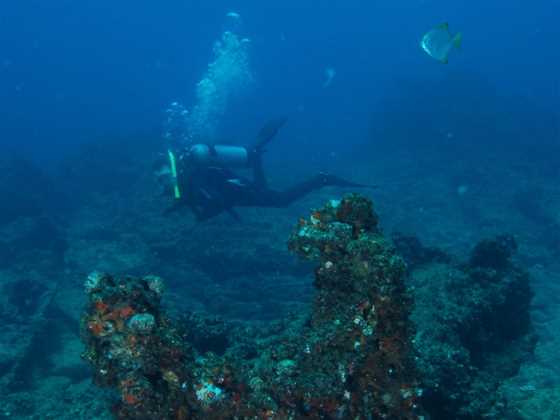 Marietta Dal Shipwreck Dive Site