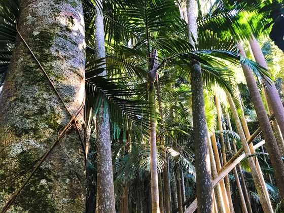 The Palms National Park