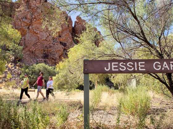 Yeperenye / Emily and Jessie Gaps Nature Park