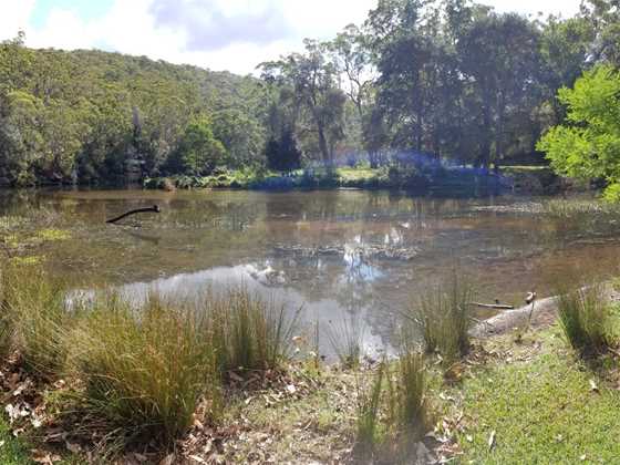 Wattle Forest picnic area
