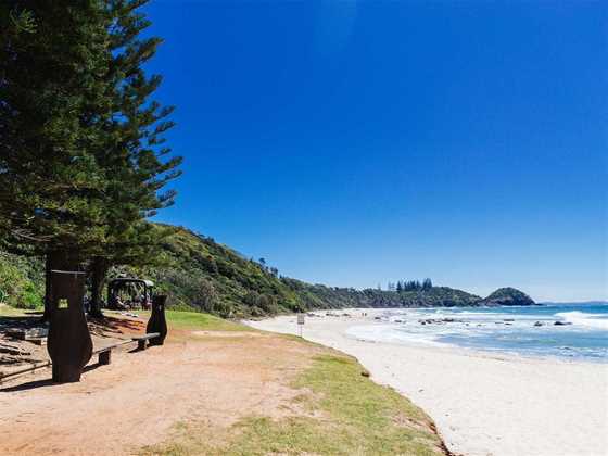 Shelly Beach: Port Macquarie