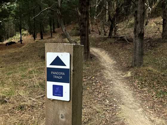 Black Hill Reserve and Mountain Bike Trails