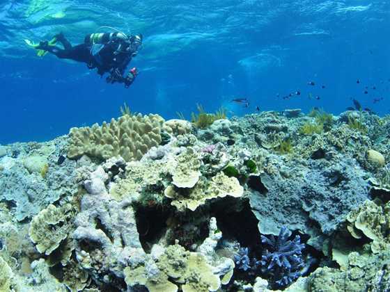 Southern Small Detached Reef Dive Site