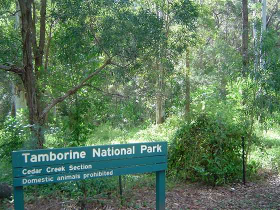 Tamborine National Park