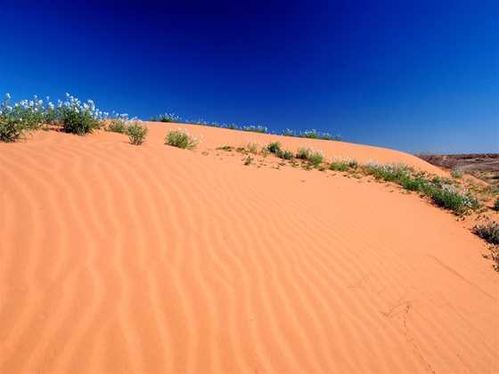 Munga-Thirri - Simpson Desert Conservation Park and Regional Reserve