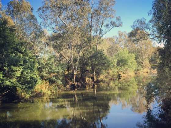 Frosts Reserve