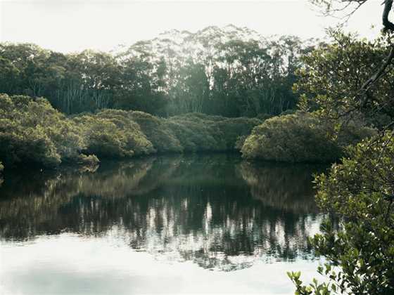 Kooloonbung Creek Nature Park