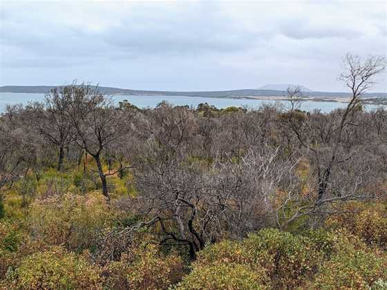 Coffin Bay Lookout