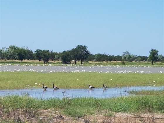 Mutton Hole Wetlands Conservation Park
