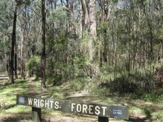 Wright Forest
