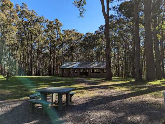One Tree Hill Picnic Ground