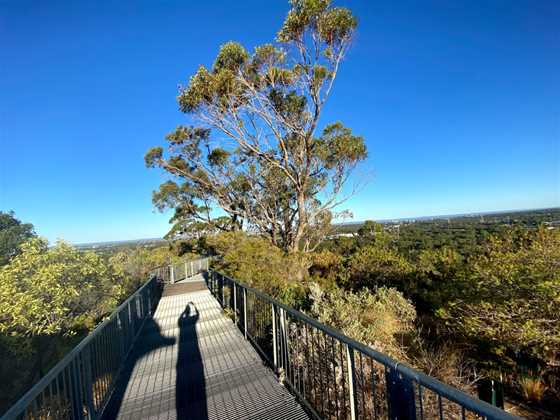 Reabold Hill Summit Lookout