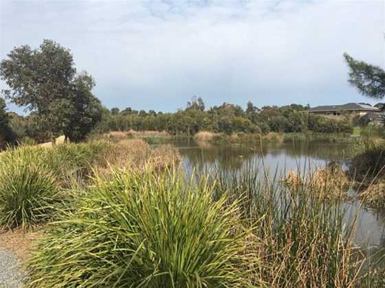 Botanic Ridge Wetlands