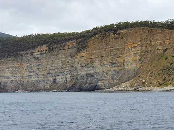 Fossil Cliffs