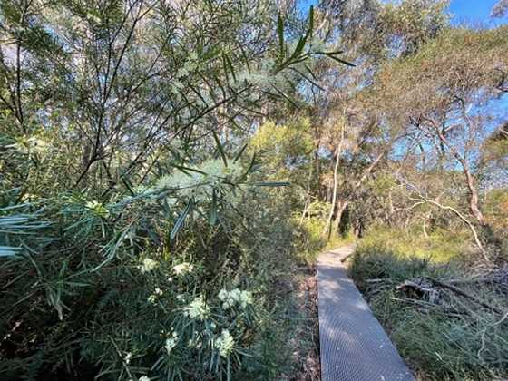 Gulgadya Muru Aboriginal Self-guided Walk