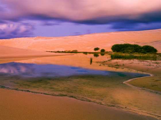 Moreton Island Desert